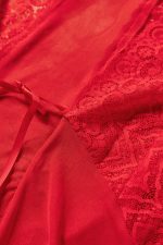 Red Lace V Neck Long Sleeve Sheer Open Front Negligee - Image 3