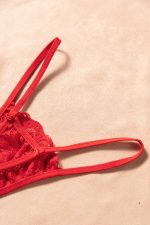 Red Lace V Neck Long Sleeve Sheer Open Front Negligee - Image 6